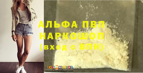 метадон Богданович